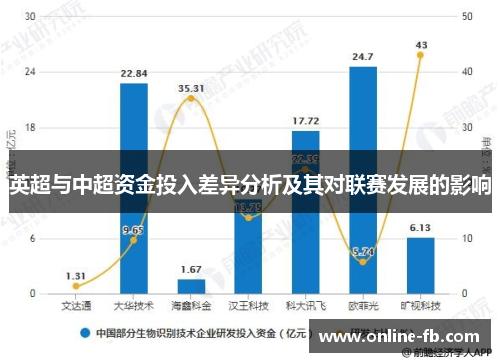 英超与中超资金投入差异分析及其对联赛发展的影响